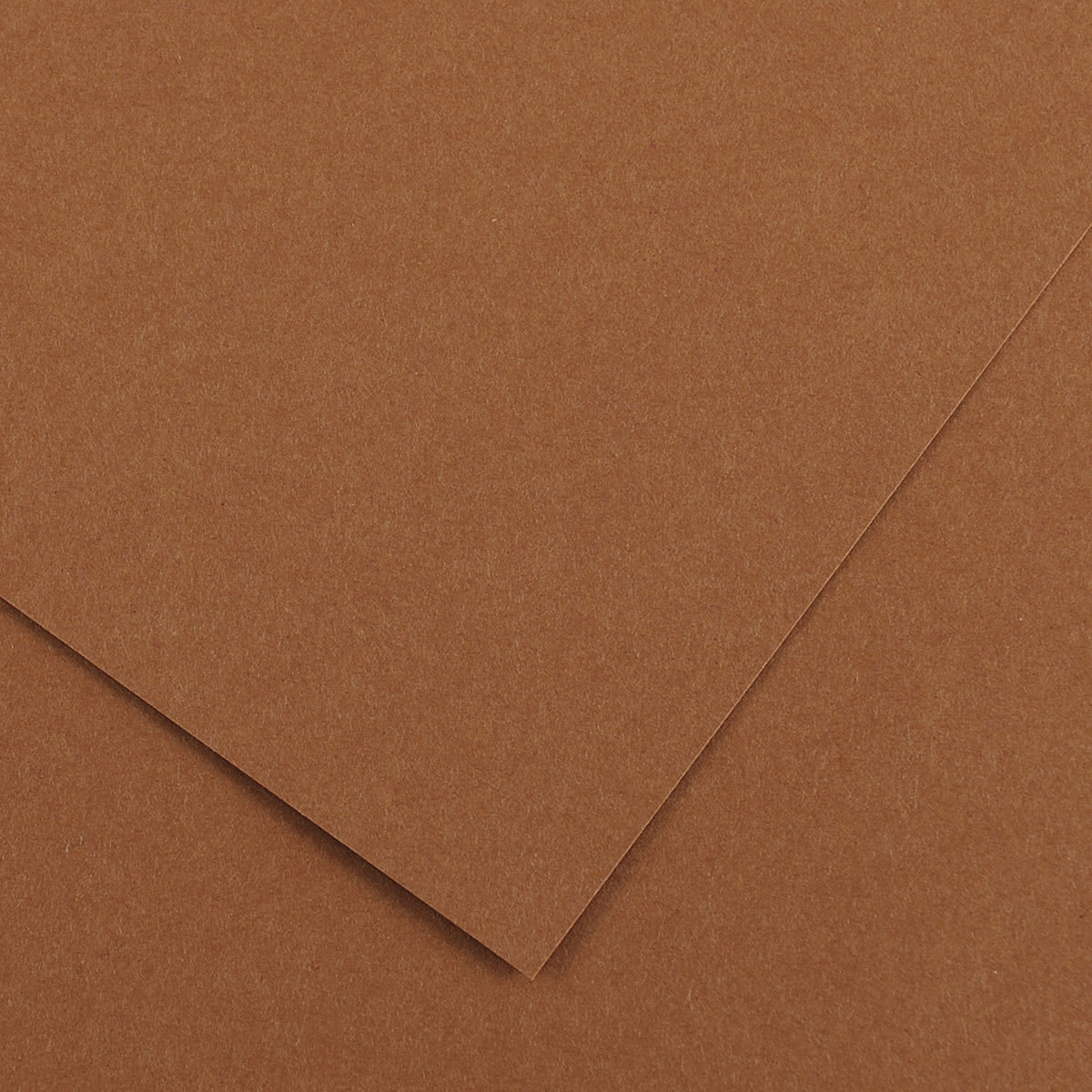Canson Colorline Art Paper - 19" x 25", 150 gsm, Nut