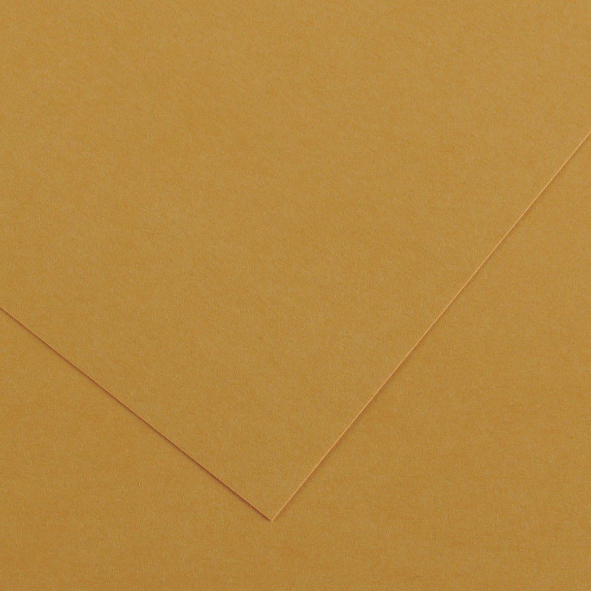 Canson Colorline Art Paper - 19" x 25", 300 gsm, Leather