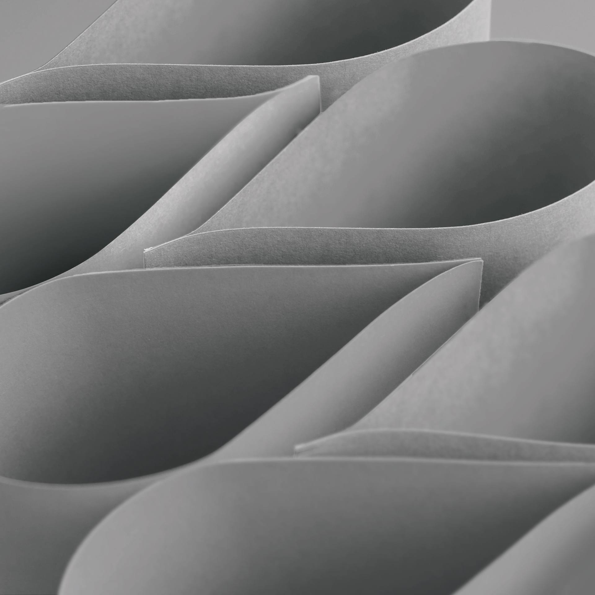 Blick Premium Construction Paper - 19-1/2" x 27-1/2", Scotch Gray, Single Sheet, curved sheets