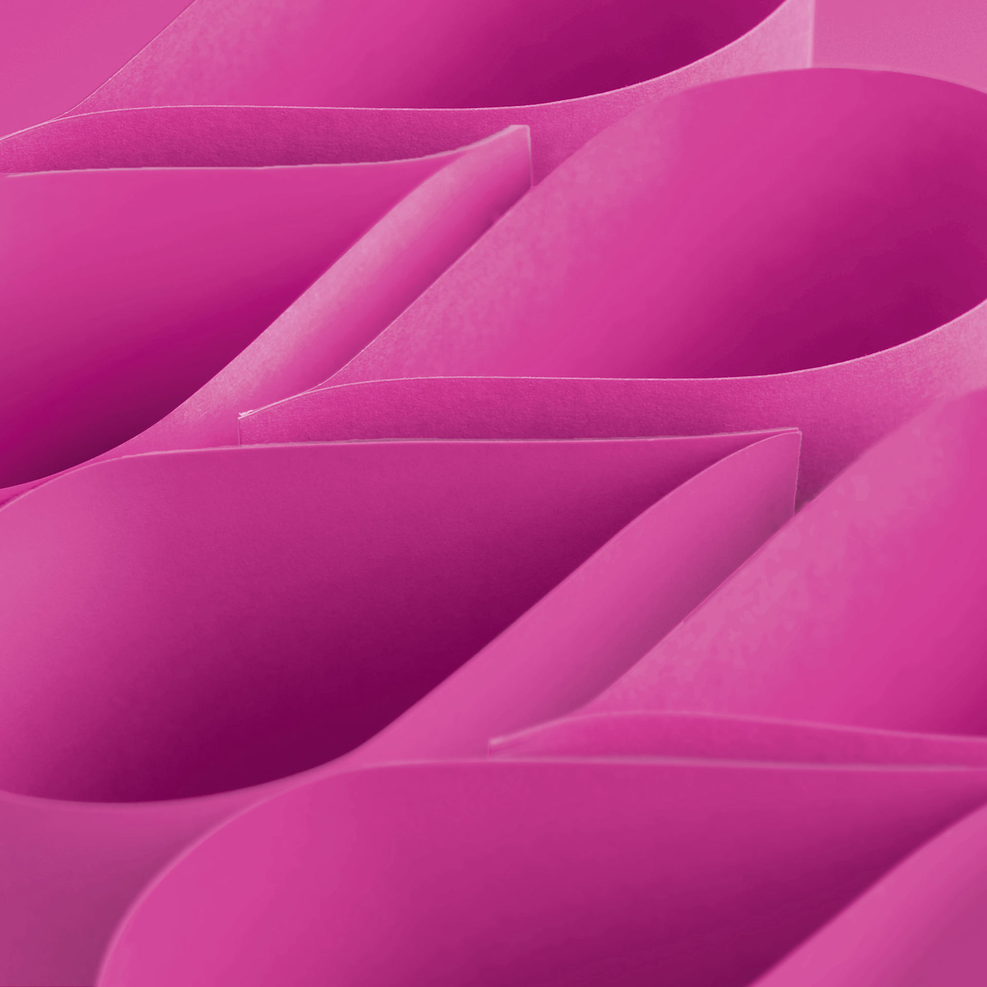 Blick Premium Construction Paper - 19-1/2" x 27-1/2", Raspberry, Single Sheet curved sheets