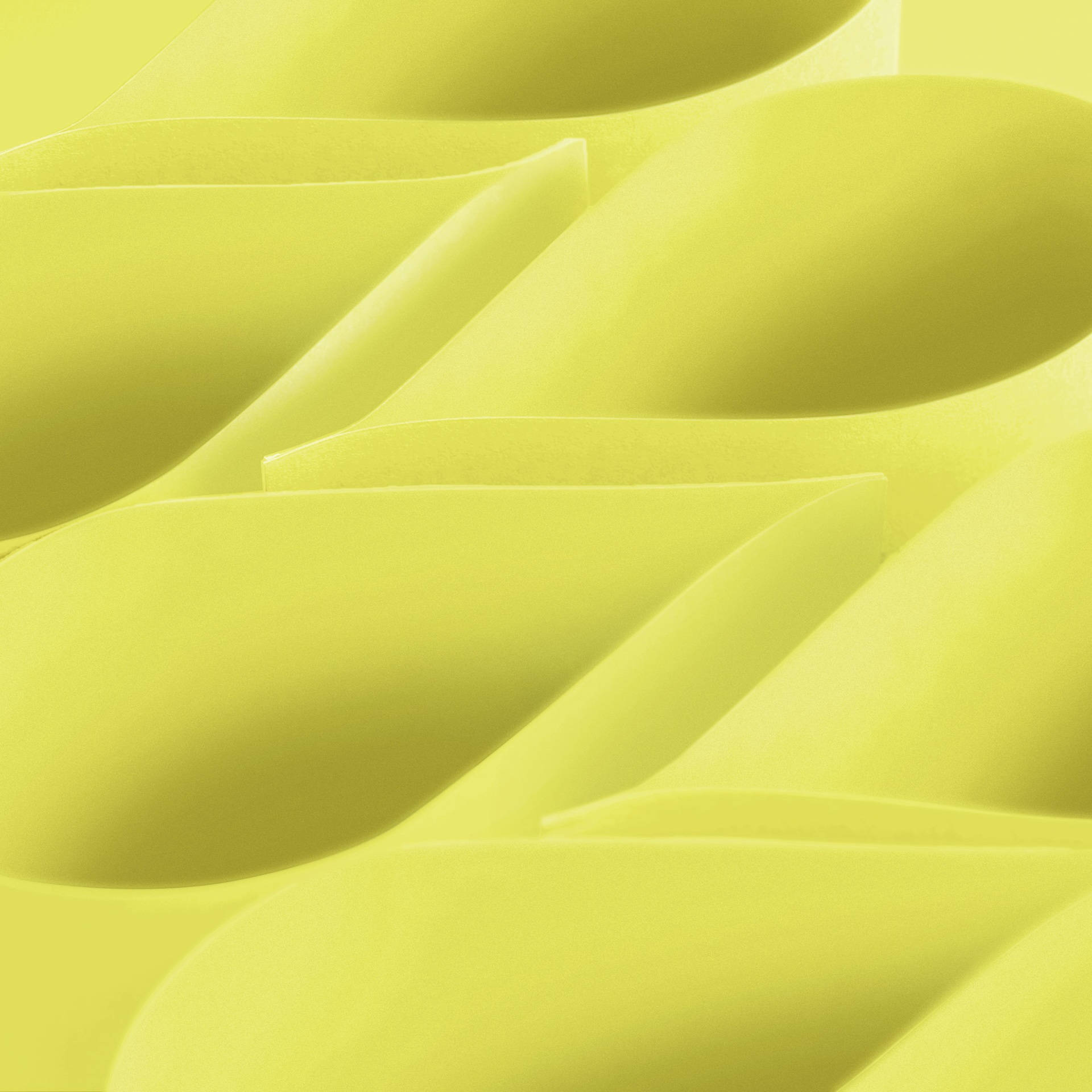 Blick Premium Construction Paper - 19-1/2" x 27-1/2", Lemon Yellow, Single Sheet curved sheets