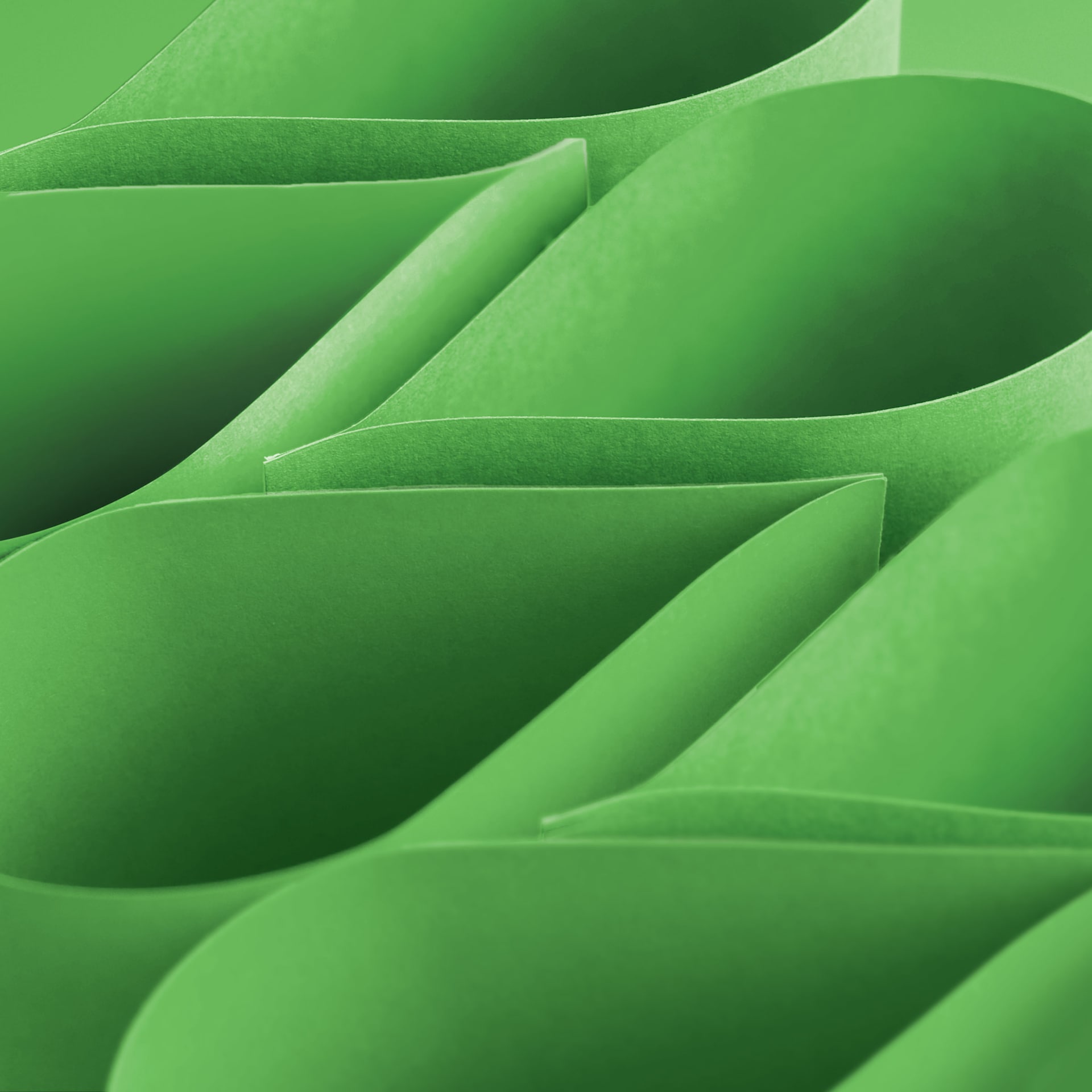 Blick Premium Colored Art Paper - 9" x 12", Green, 50 Sheets, curved sheets