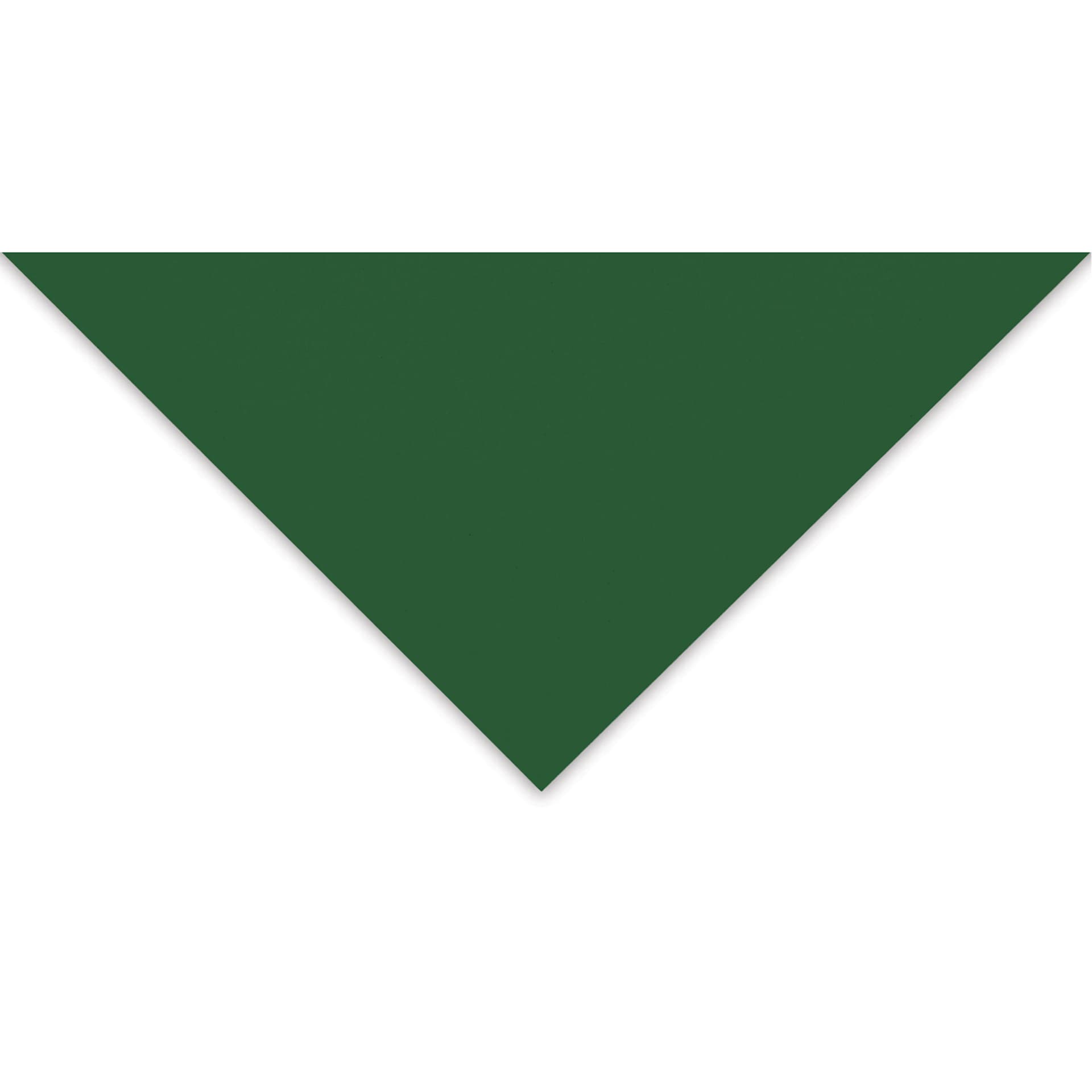 Blick Premium Colored Art Paper - 19-1/2" x 27-1/2", Dark Green, Single Sheet, corner