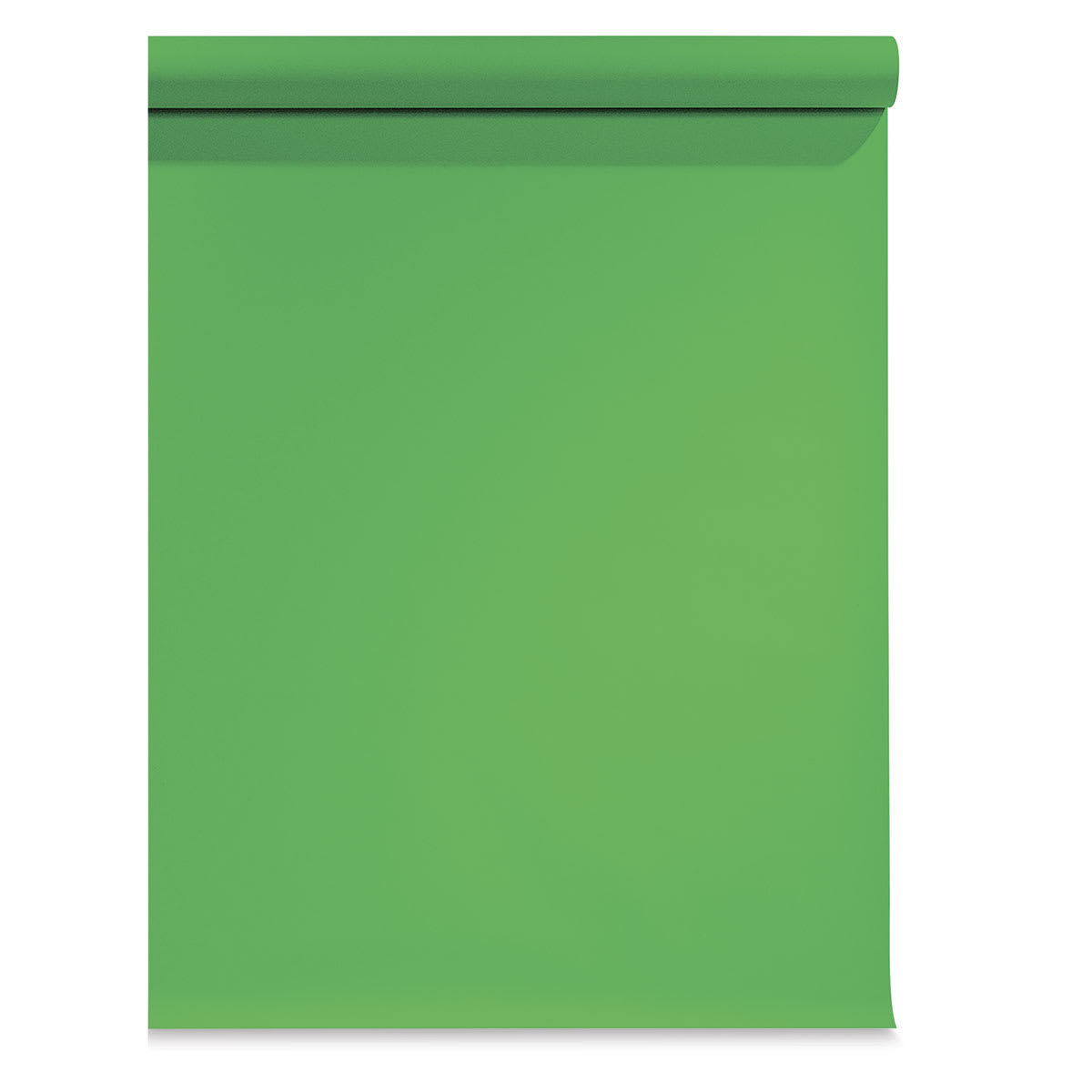 Seamless Background Paper - 53" x 36 ft, Stinger Green