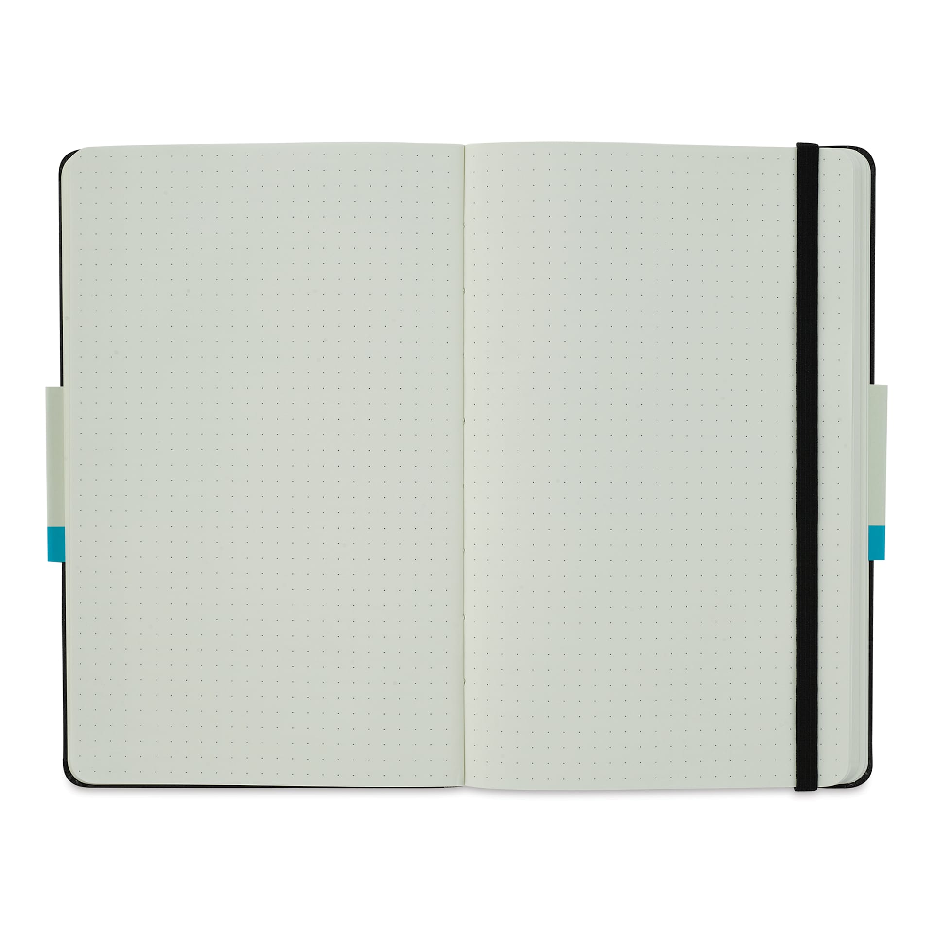 Moleskine Classic Hardcover Notebook - Black, Dotted, 8-1/4" x 5" (open to show paper)