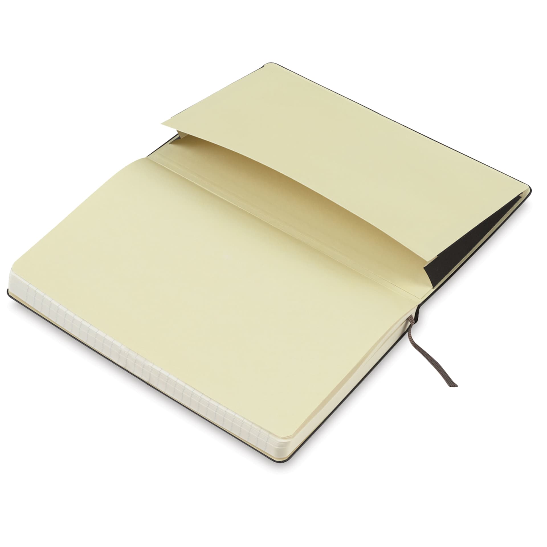 Moleskine Classic Hardcover Notebook - Black, Ruled, 8-1/4" x 5" (back pocket)