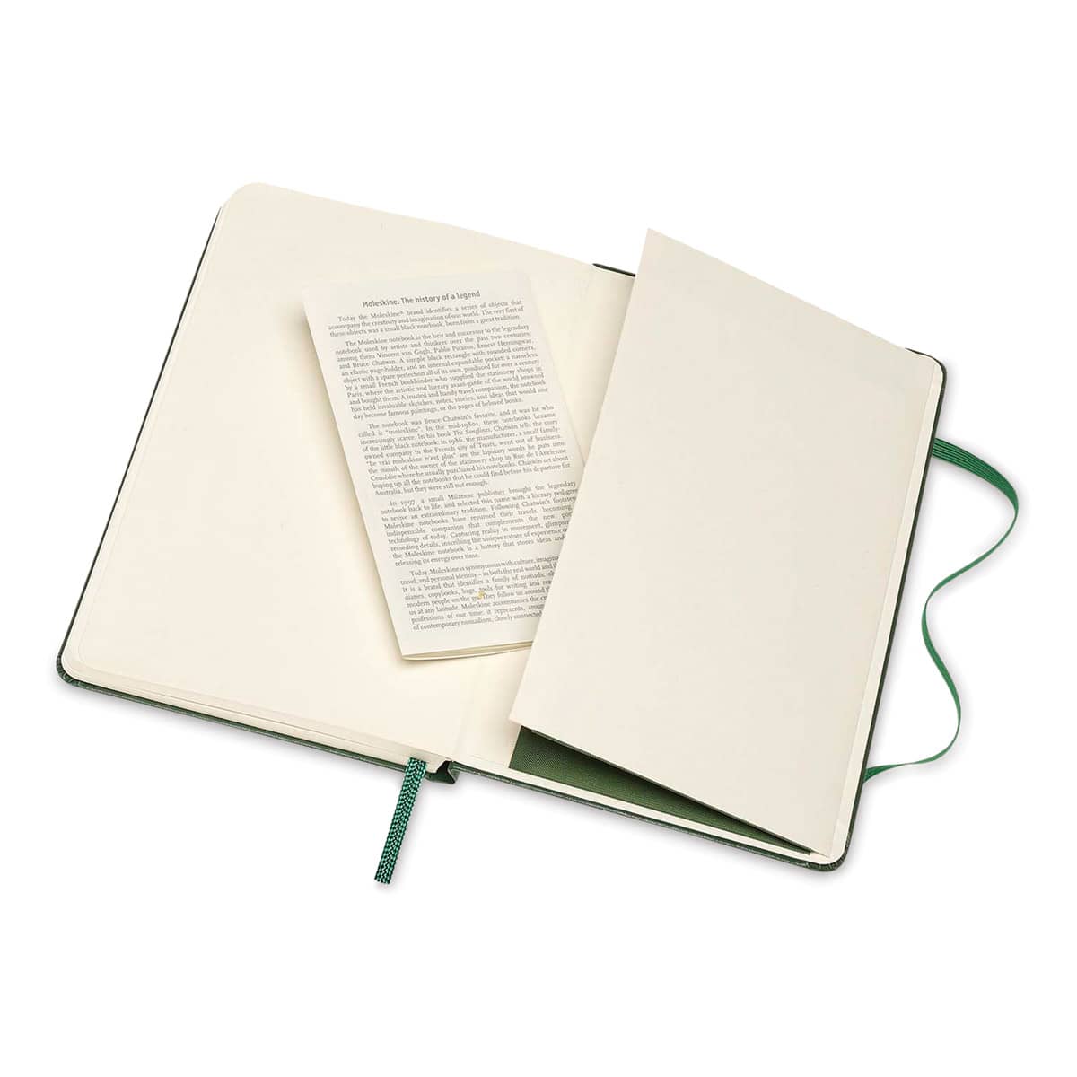 Moleskine Classic Hardcover Notebook - Myrtle Green, Ruled, 5-1/2" x 3-1/2" (showing the pocket)