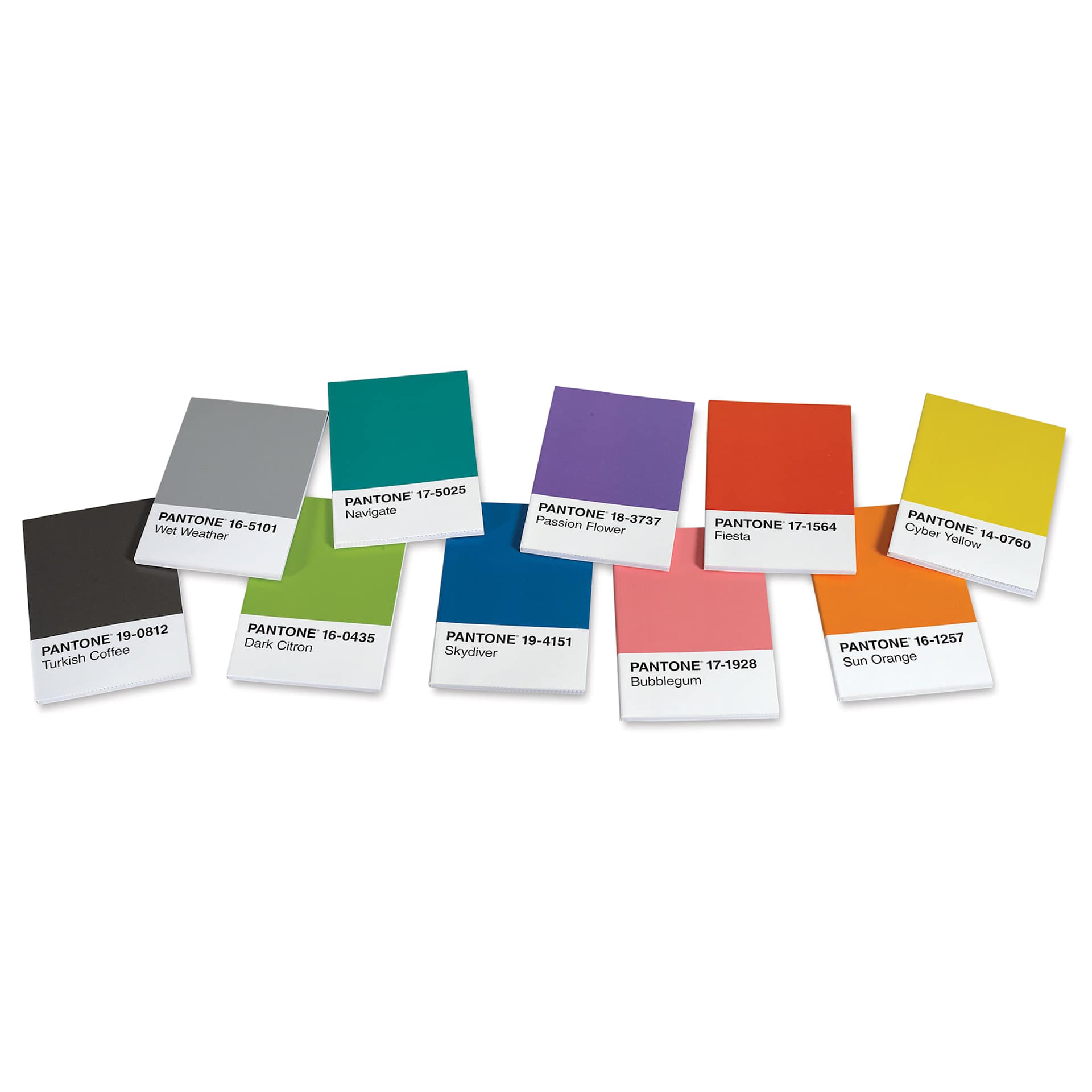 Pantone 10 Notebooks Set