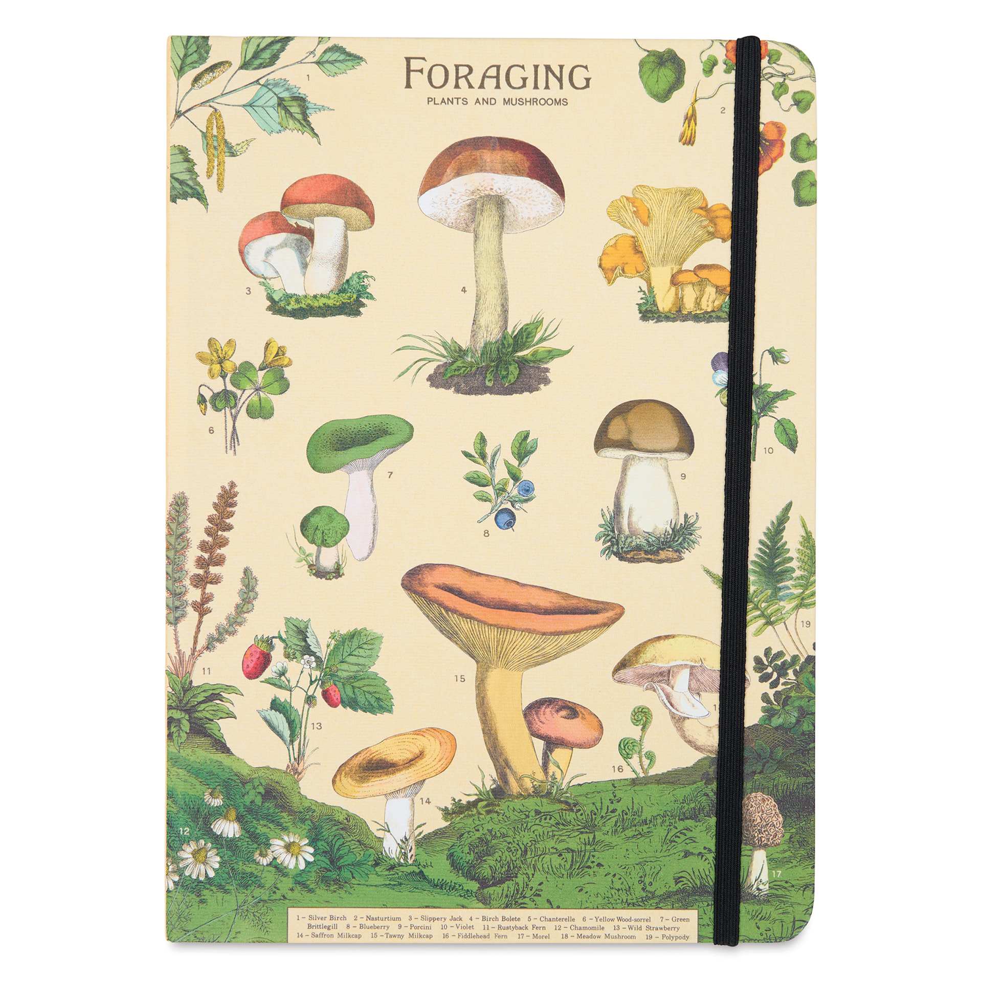Cavallini Foraging Large Notebook, front of notebook