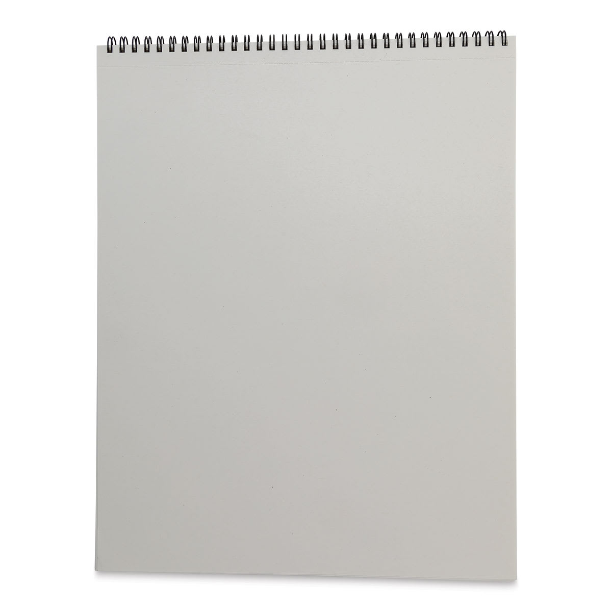 Bee Paper Co-Mo Sketch Pad - 11" x 14", 30 Sheets