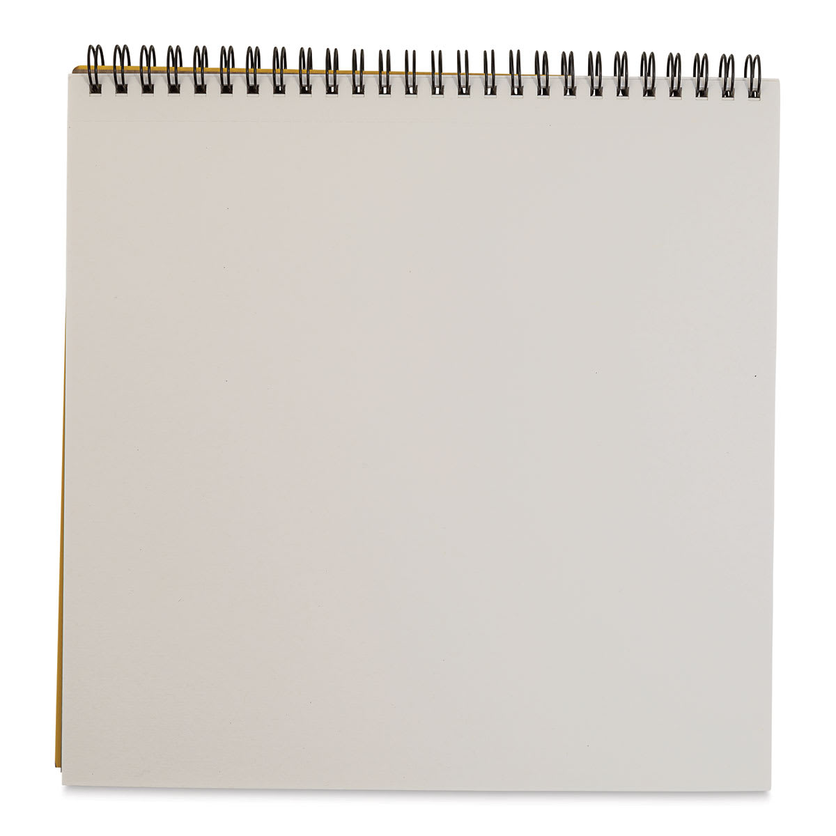 Bee Paper Co-Mo Sketch Pad - 9" x 9", 30 Sheets