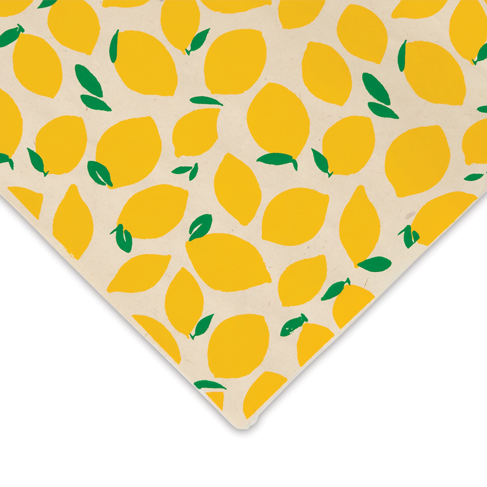 Lemon Print Lokta Paper, corner of paper