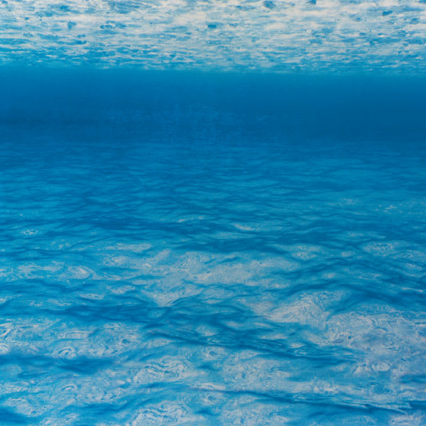 Fadeless Design Roll - Under Sea