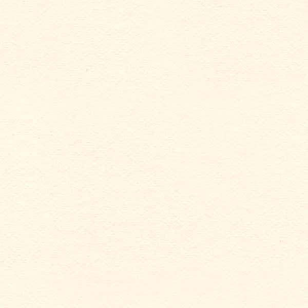 Crescent Select Conservation Solids Matboard - Antique White 32"x40"