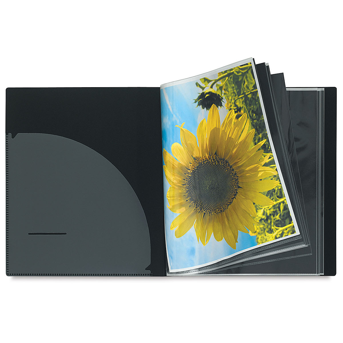 Itoya I-Series Art Profolios - Inside spread of book showing sunflower picture Itoya I-Series Art Profolios - Inside spread of book showing sunflower picture
