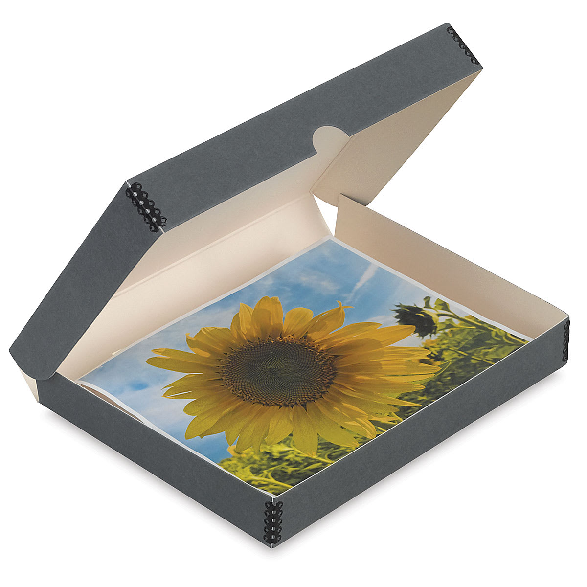 Blick Archival Storage Box - 9" x 12" x 2", Gray