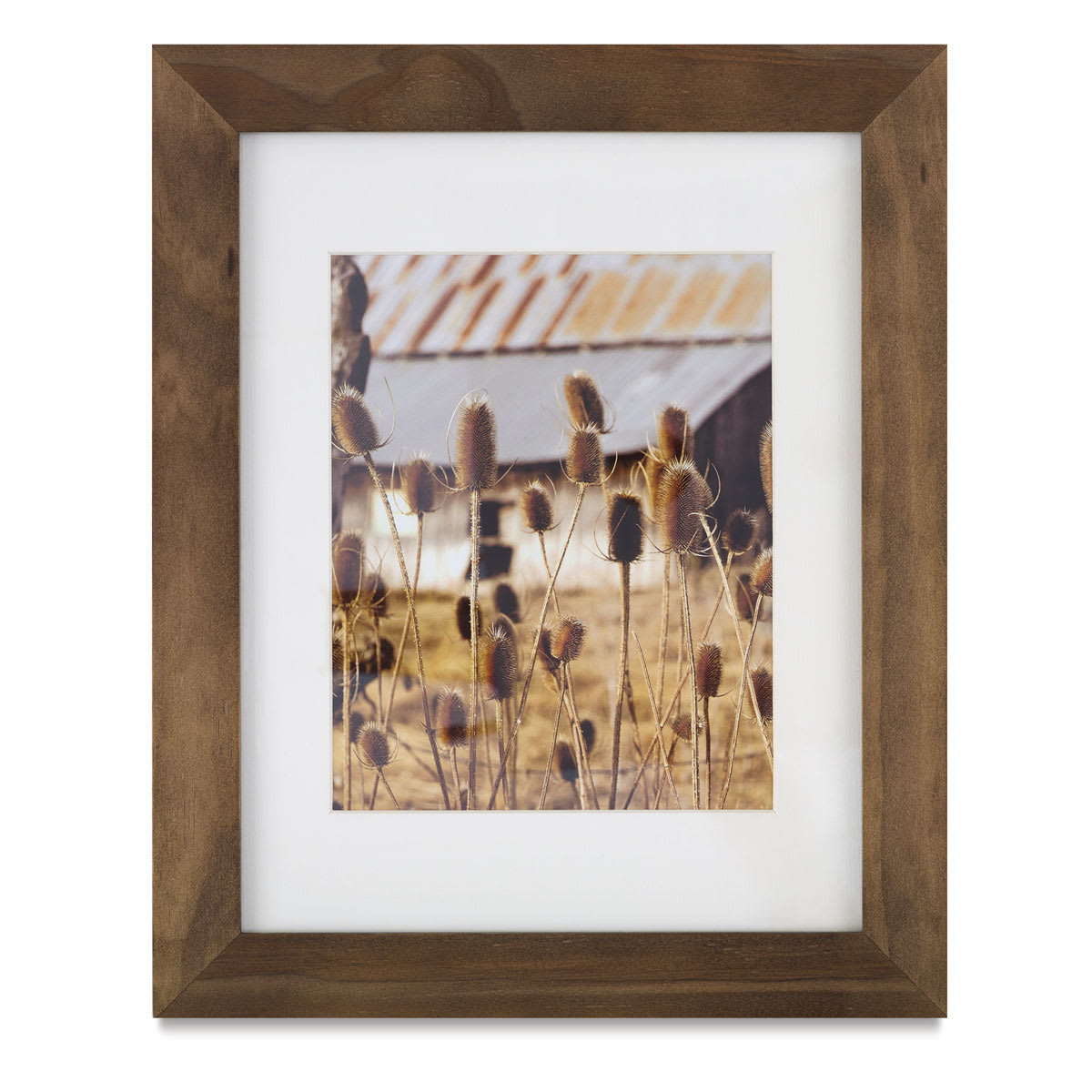Nielsen Bainbridge Arcadia Frames Nielsen Bainbridge Arcadia Frames