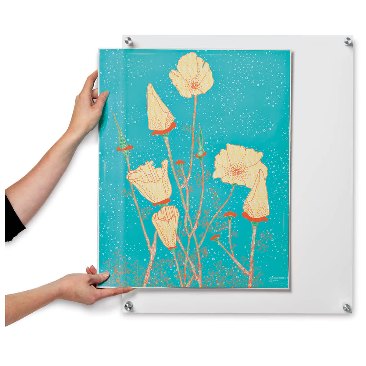 Wexel Art Single Panel Acrylic Display Frame - 19" x 23", with silver hardware