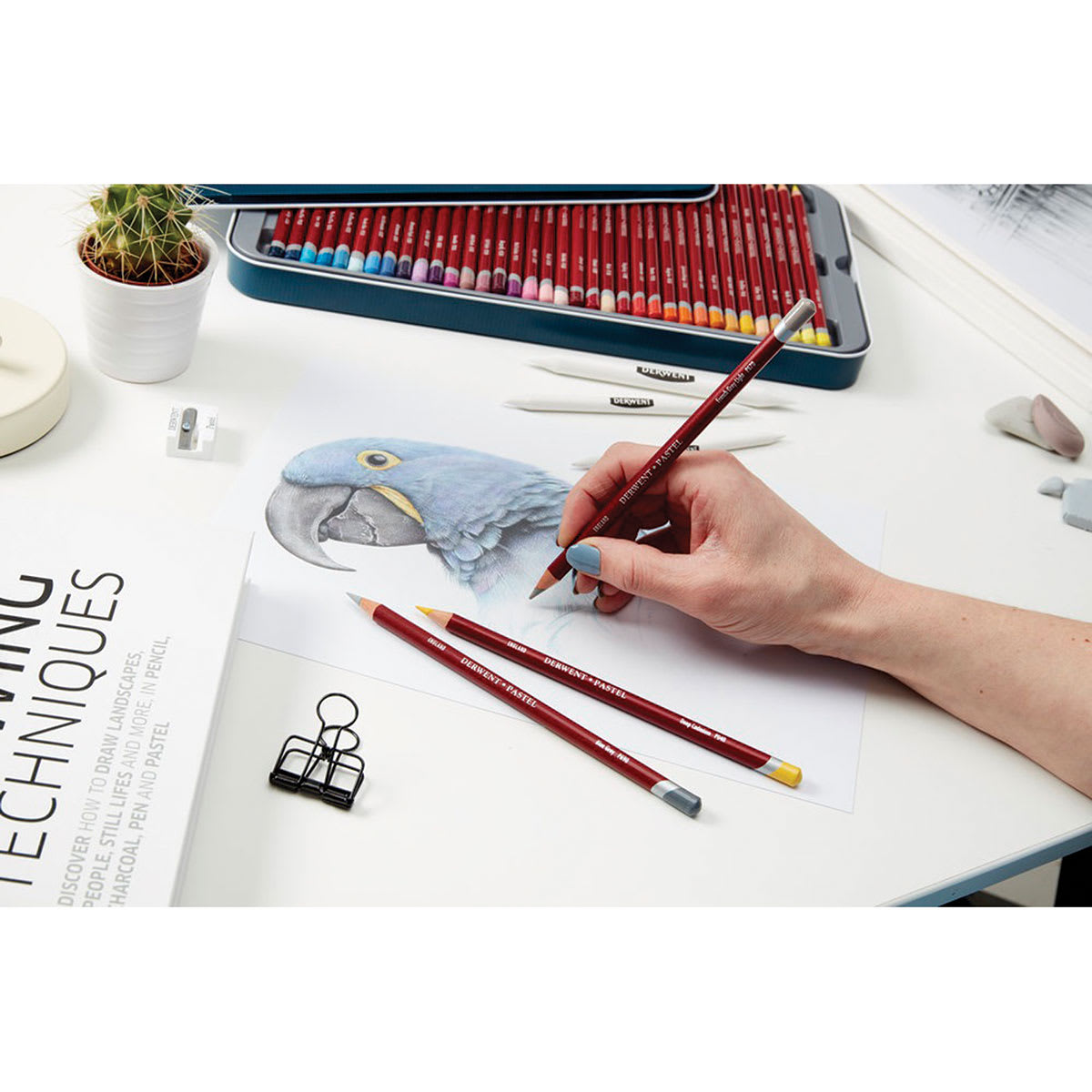 Derwent Pastel Pencils being used to draw the cover art of the packaging. Derwent Pastel Pencils being used to draw the cover art of the packaging.