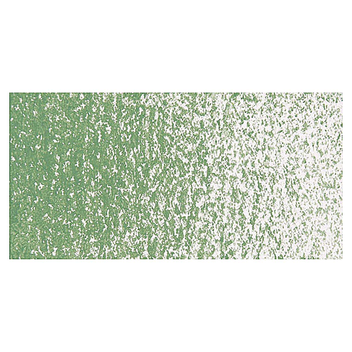 Sakura Cray-Pas Expressionist Oil Pastel - Green Gray swatch