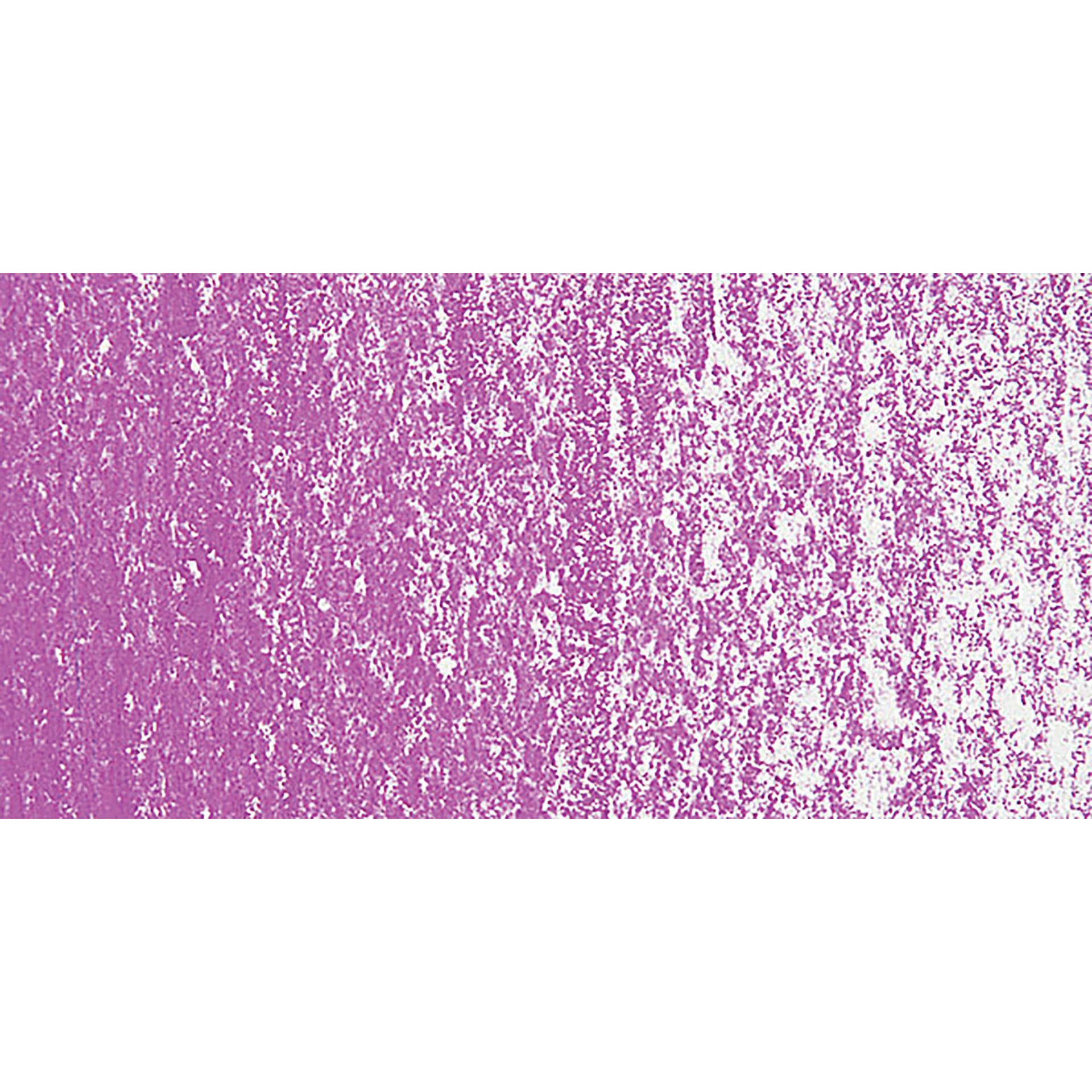 Sennelier Soft Pastel - Madder Violet 311 swatch