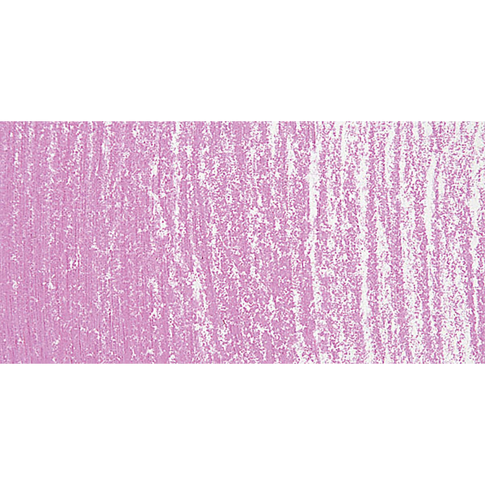 Sennelier Soft Pastel - Madder Violet 313 swatch