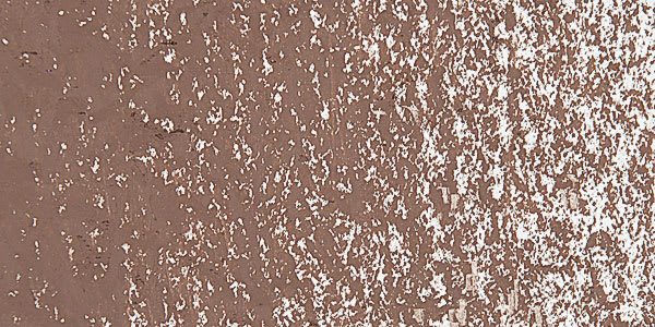 Caran d'Ache Neopastel - Mahogany swatch