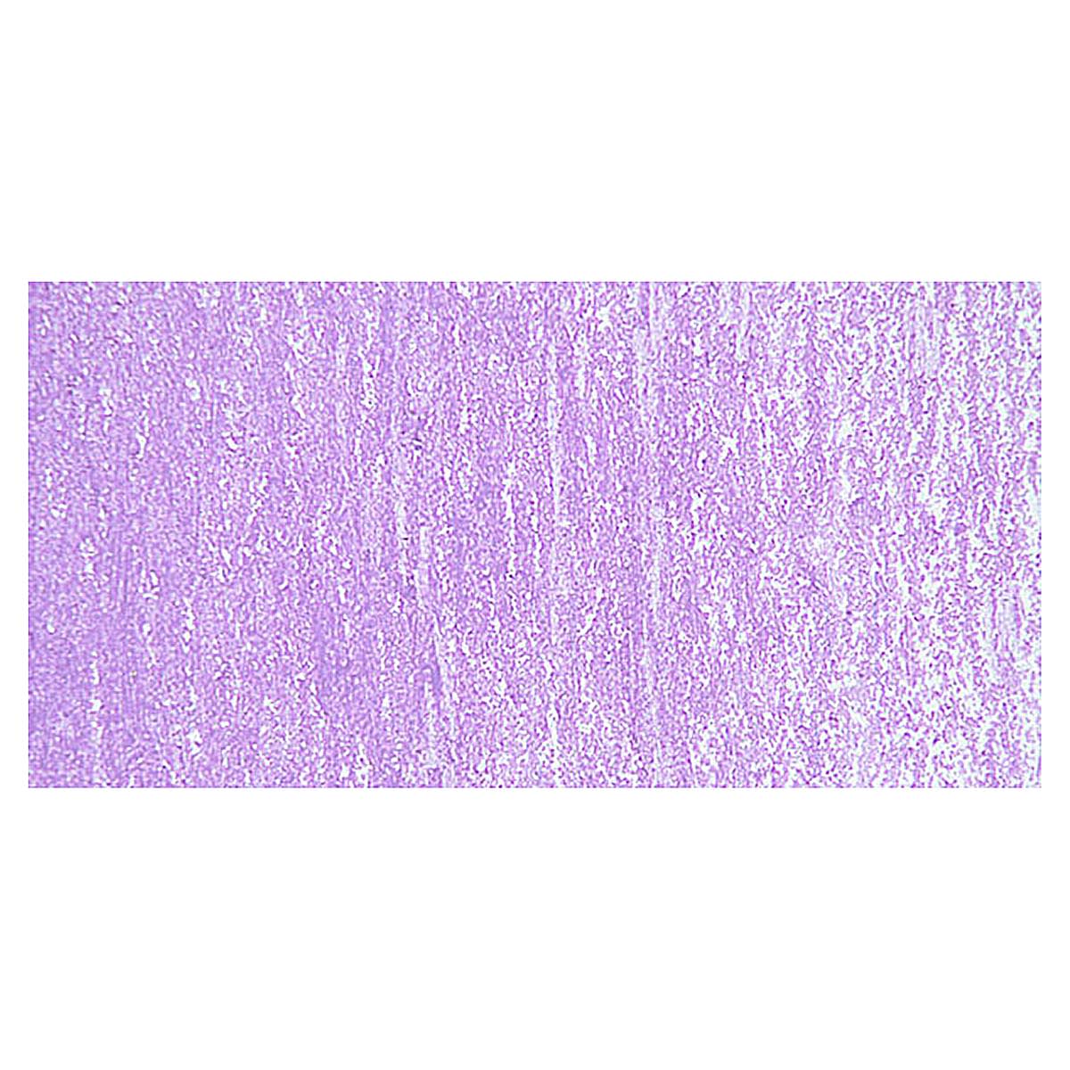 Van Gogh Oil Pastel - Blue Violet 548.7 swatch Van Gogh Oil Pastel - Blue Violet 548.7 swatch