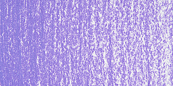 Art Spectrum Artists' Soft Pastel - Flinders Blue Violet 520T swatch