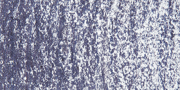 Sennelier Oil Pastel Grand - Payne's Gray swatch