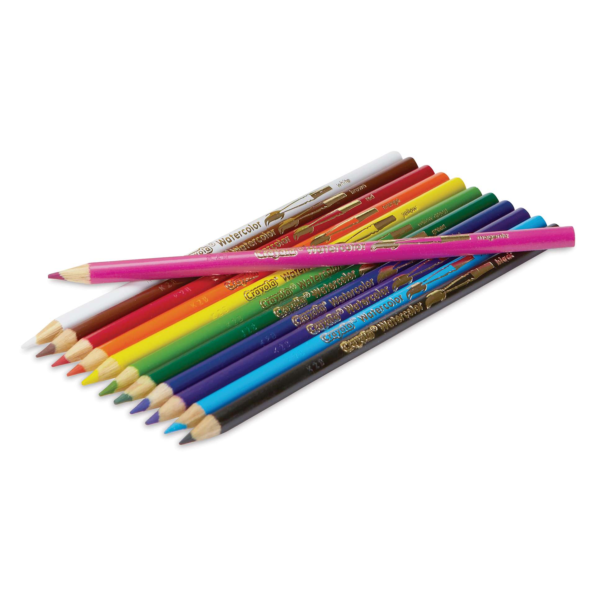 Crayola Watercolor Pencils - Assorted Colors, Classpack of 240, pencils laid out Crayola Watercolor Pencils - Assorted Colors, Classpack of 240, pencils laid out