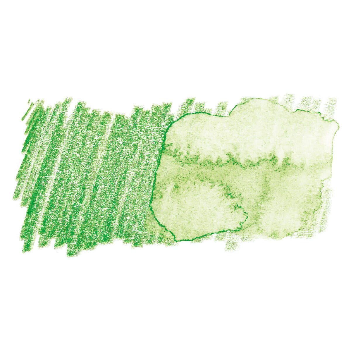 Faber-Castell Albrecht Durer Watercolor Pencil - Grass Green swatch