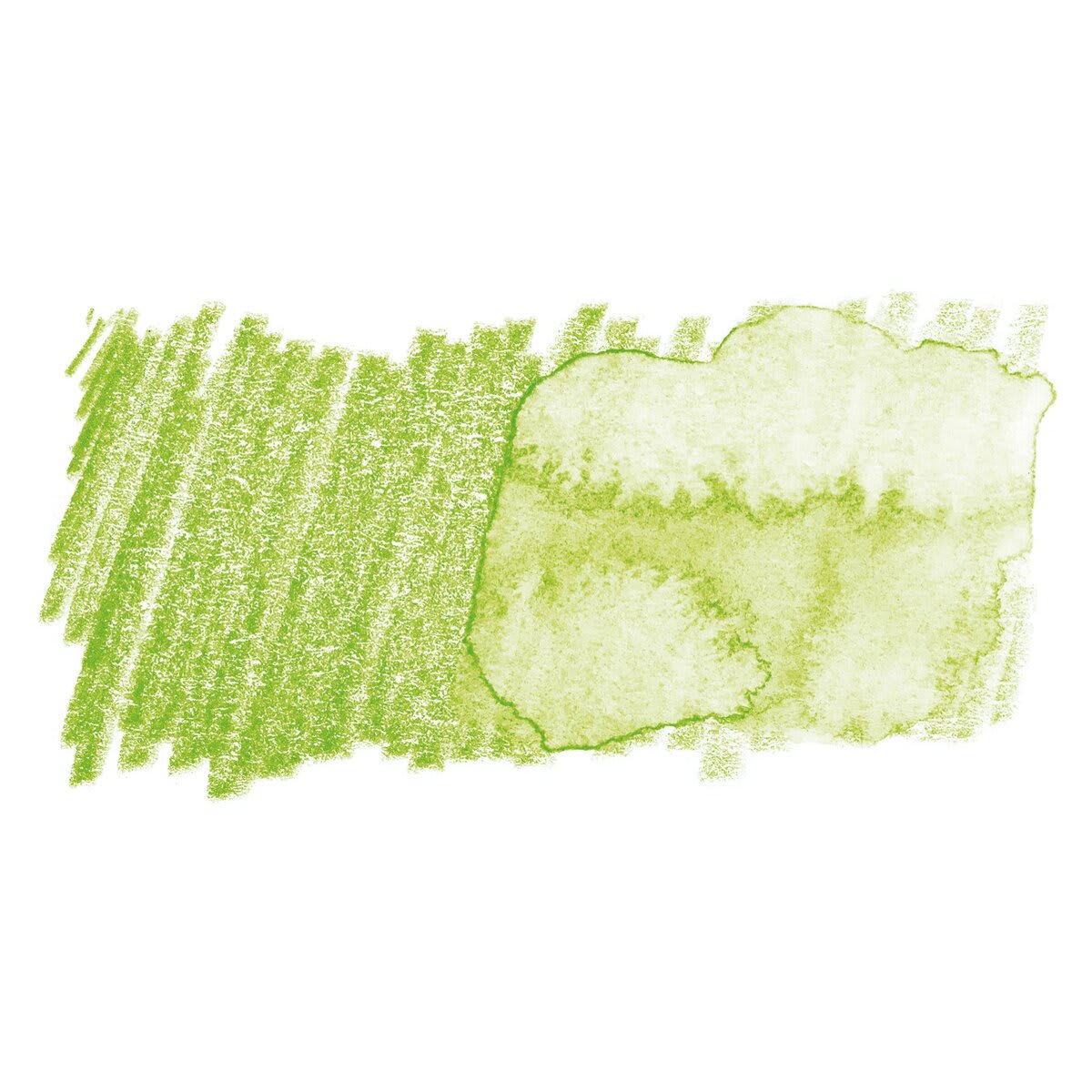 Faber-Castell Albrecht Durer Watercolor Pencil - May Green swatch
