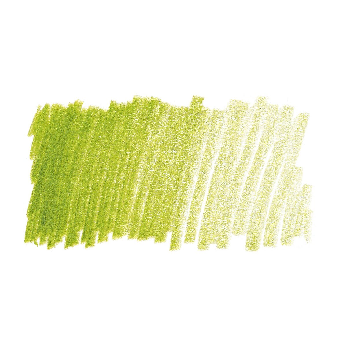 Caran d'Ache Pablo Colored Pencil - Khaki Green swatch