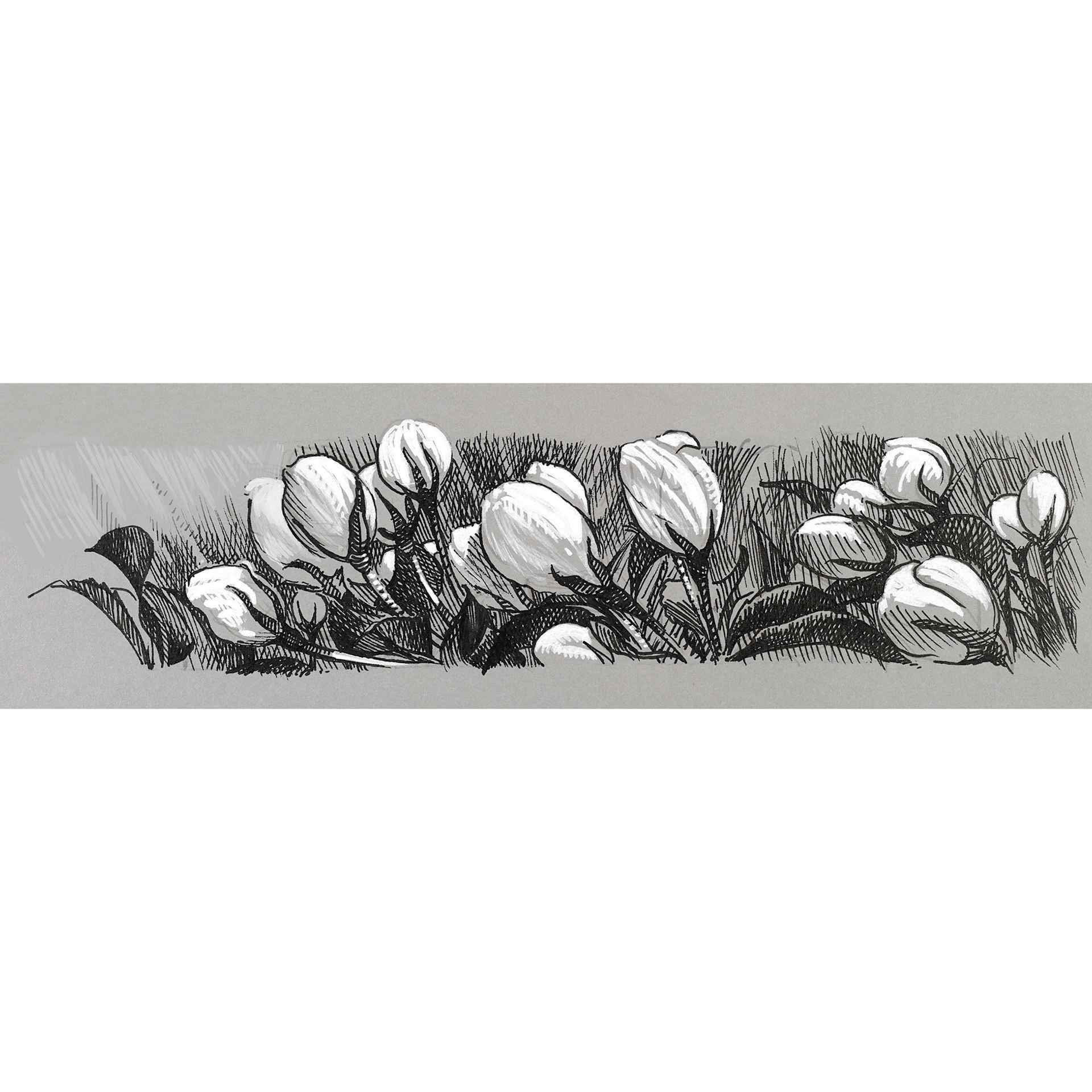 Artwork done with Faber-Castell Pitt Artist Pens in white and black