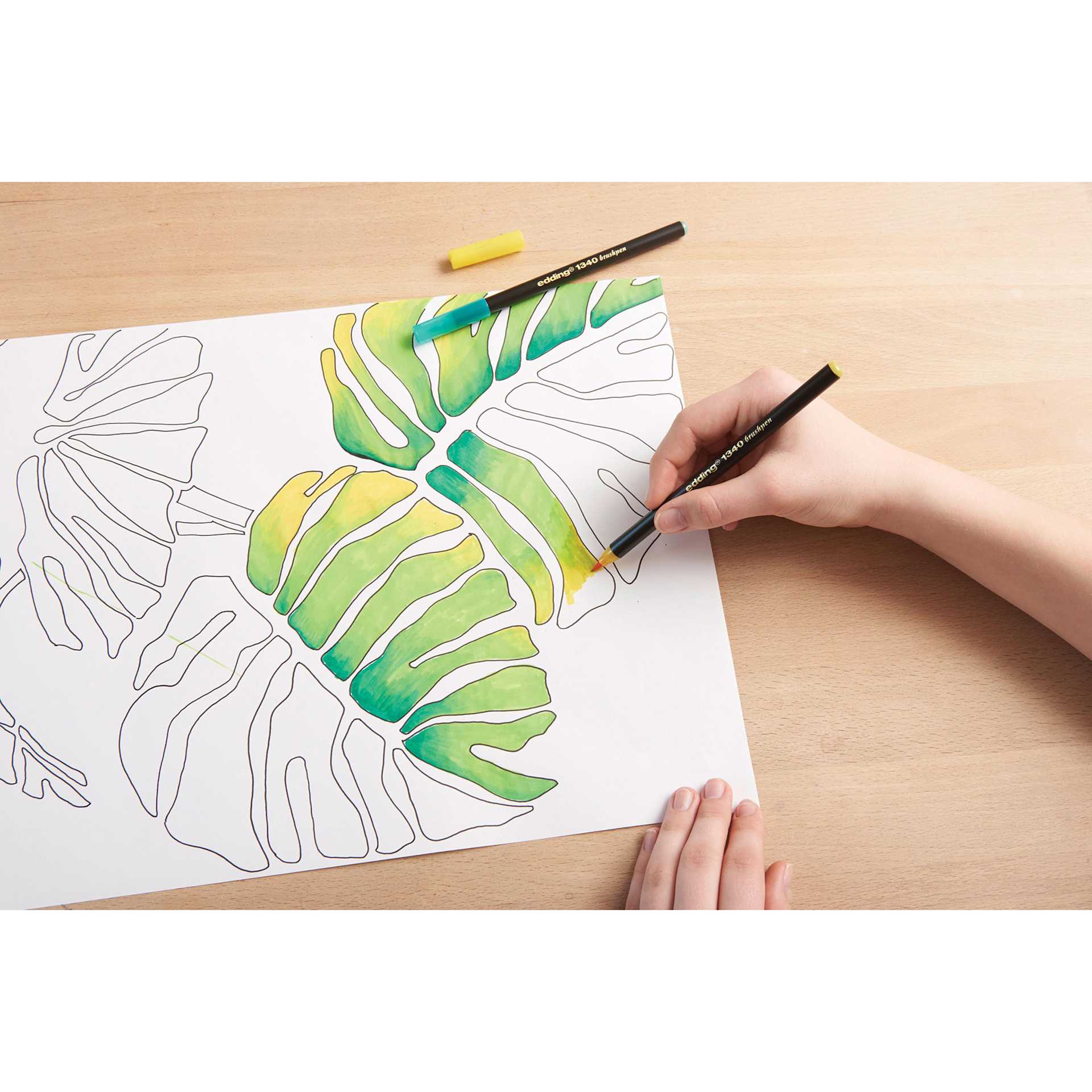 Edding Brush Pen, in hand coloring a plant drawing Edding Brush Pen, in hand coloring a plant drawing