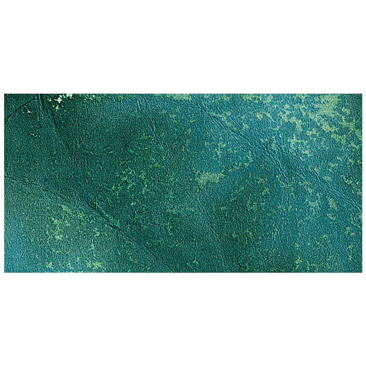 Ranger Tim Holtz Distress Ink Pad - Pine Needles swatch