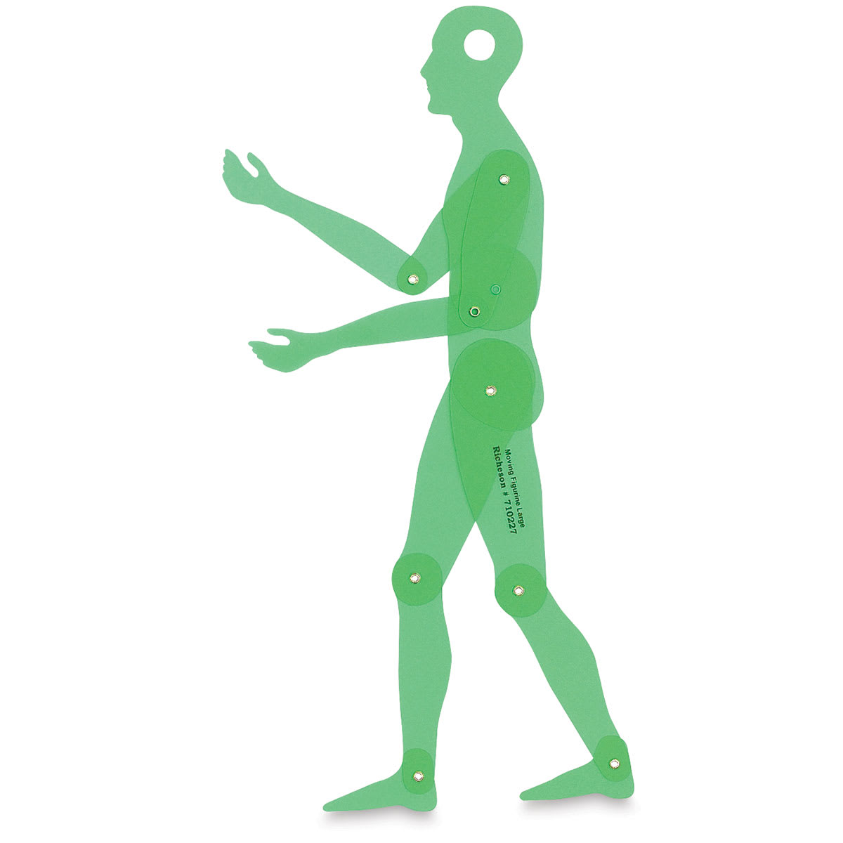Human Figure Template - Large
