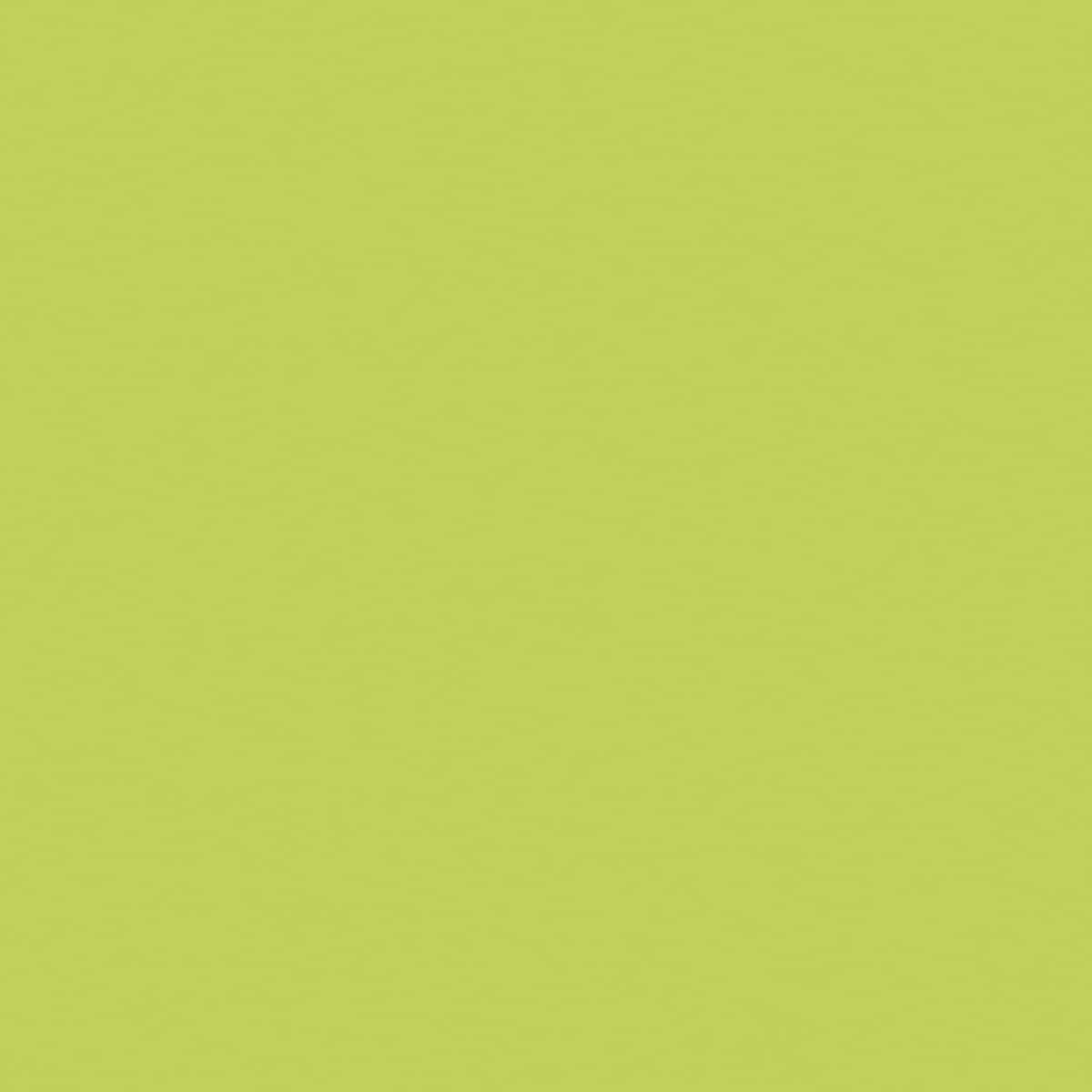 Stabilo Point 88 Fineliner Pen - Lime Green swatch