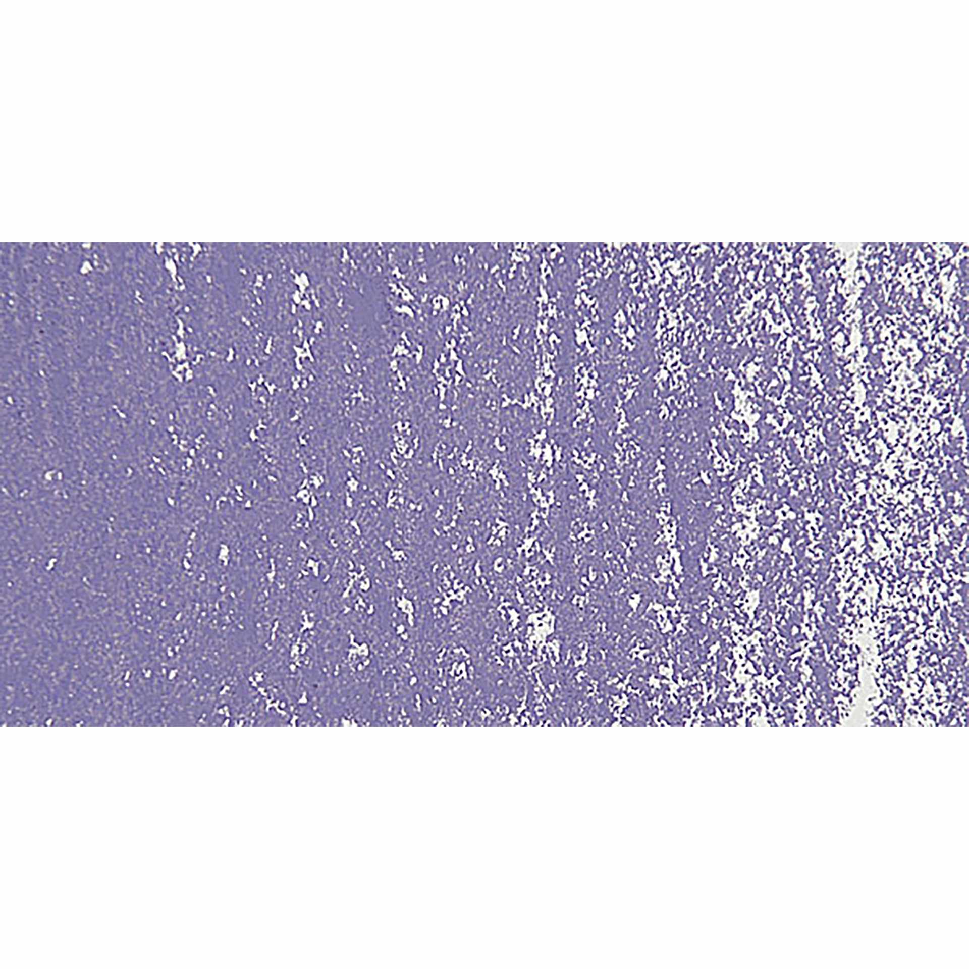Blockx Soft Pastel - Ultramarine Violet 301 swatch