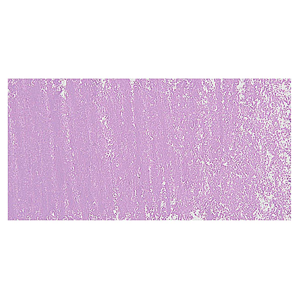 Great American Art Works Pastel - Cindy Winkle 2 swatch