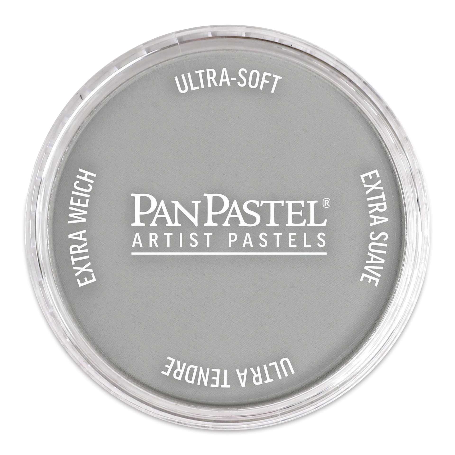 PanPastel Artists’ Painting Pastel - Metallic Pewter, 921.5
