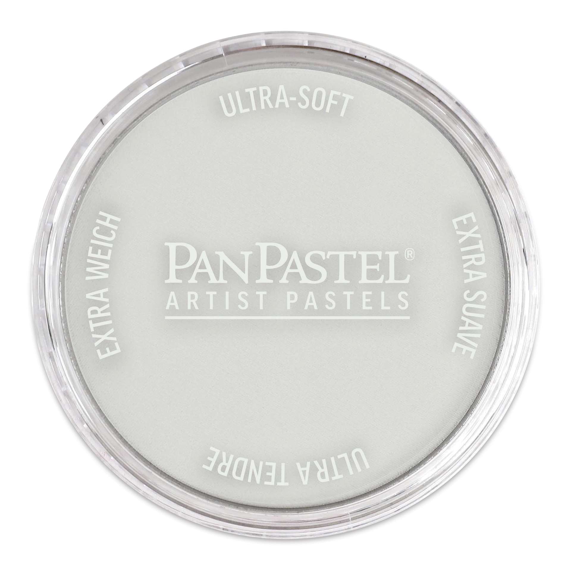 PanPastel Artists’ Painting Pastel - Neutral Gray Tint 8, 820.8