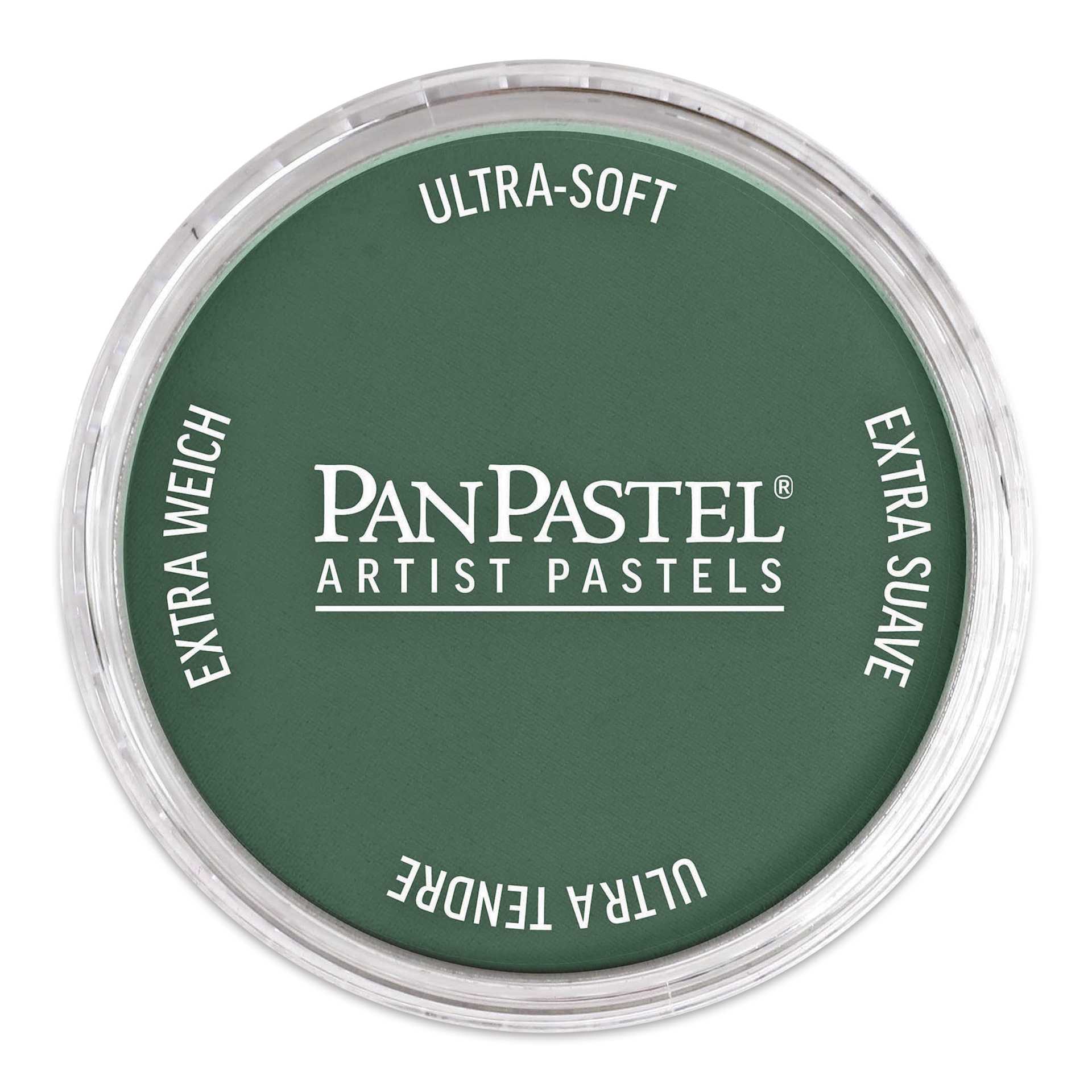 PanPastel Artists’ Painting Pastel - Turquoise Extra Dark, 580.1