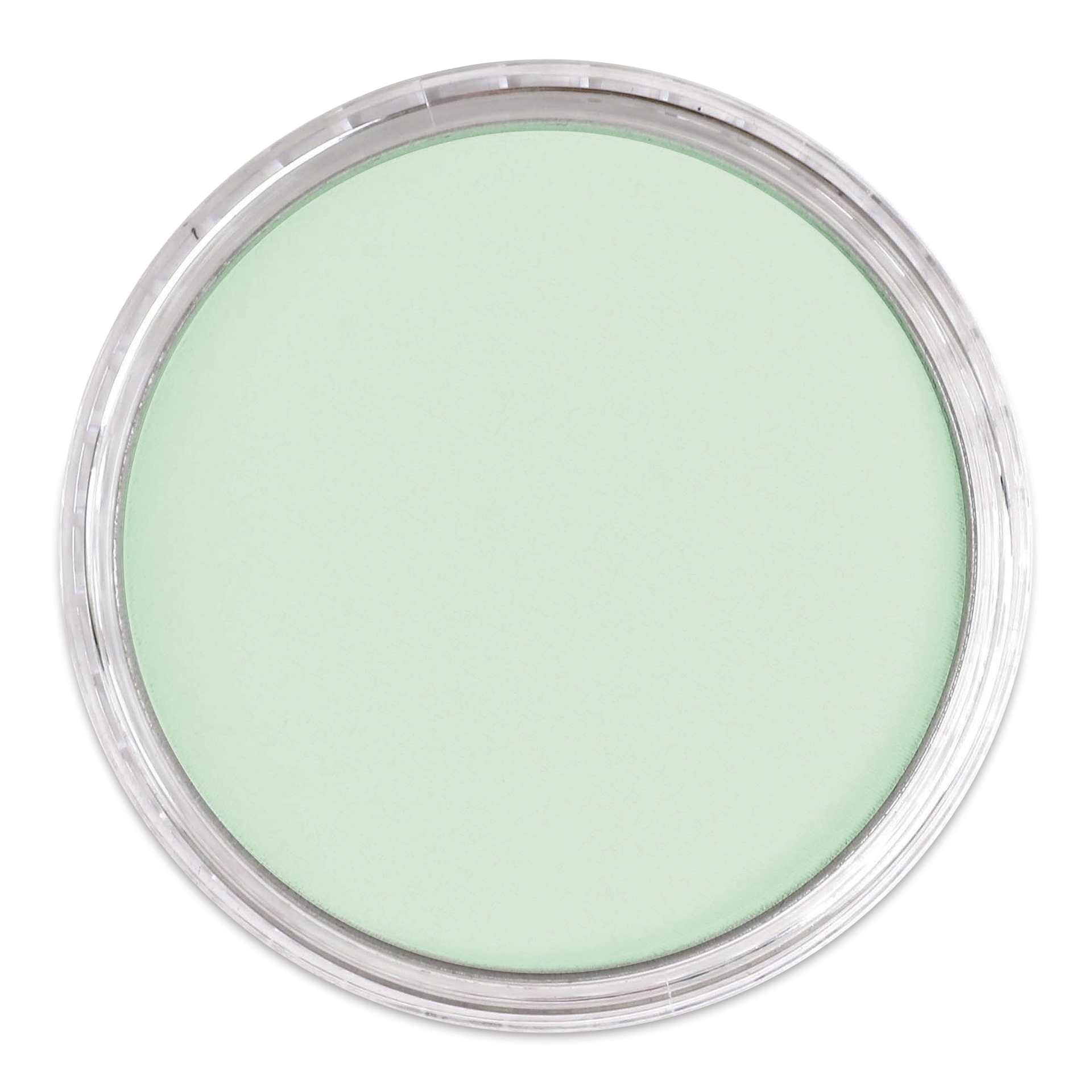 PanPastel Artists’ Painting Pastel - Permanent Green Tint, 640.8, lid off