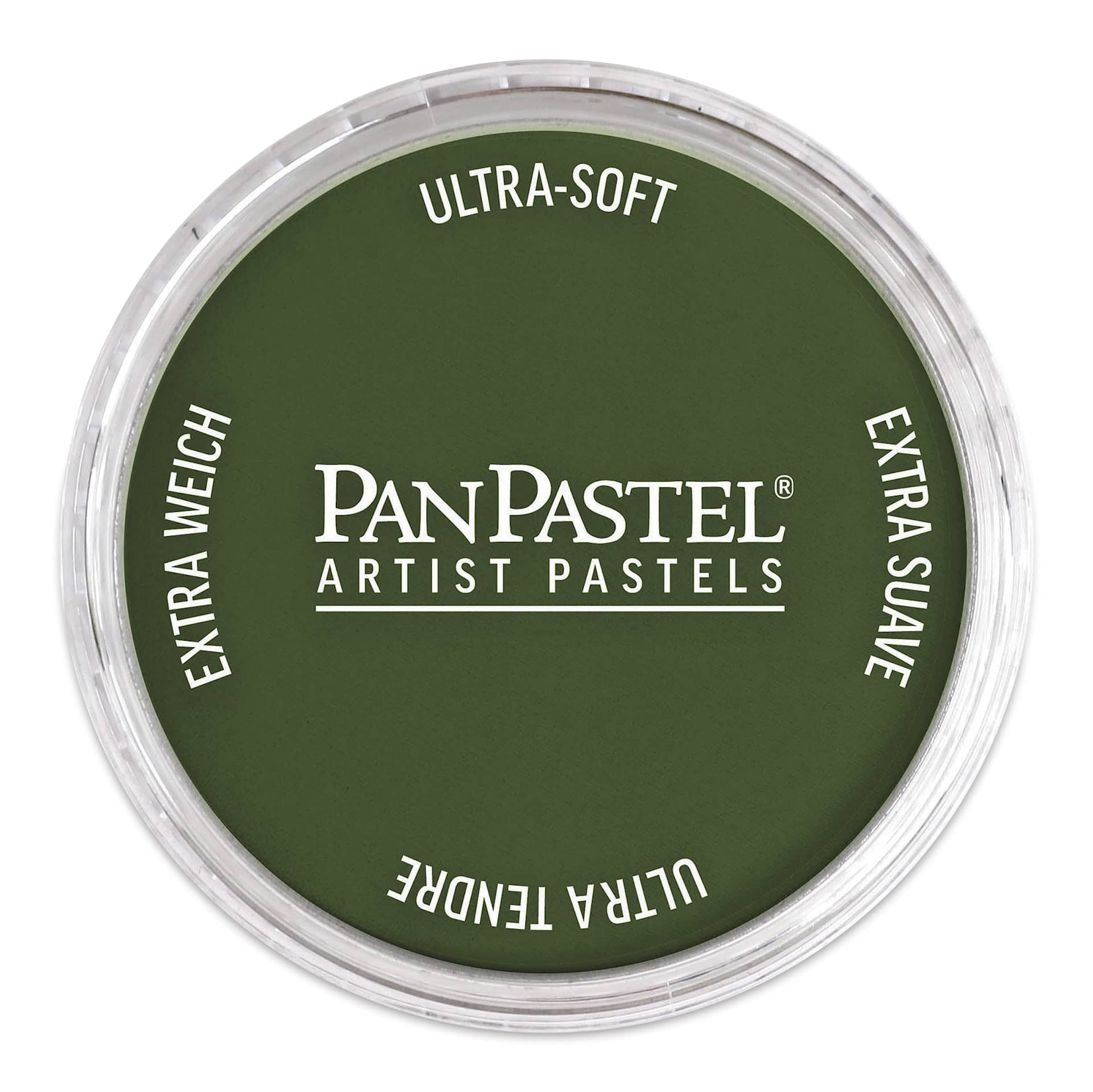 PanPastel Artists’ Painting Pastel - Chromium Oxide Green Shade, 660.3