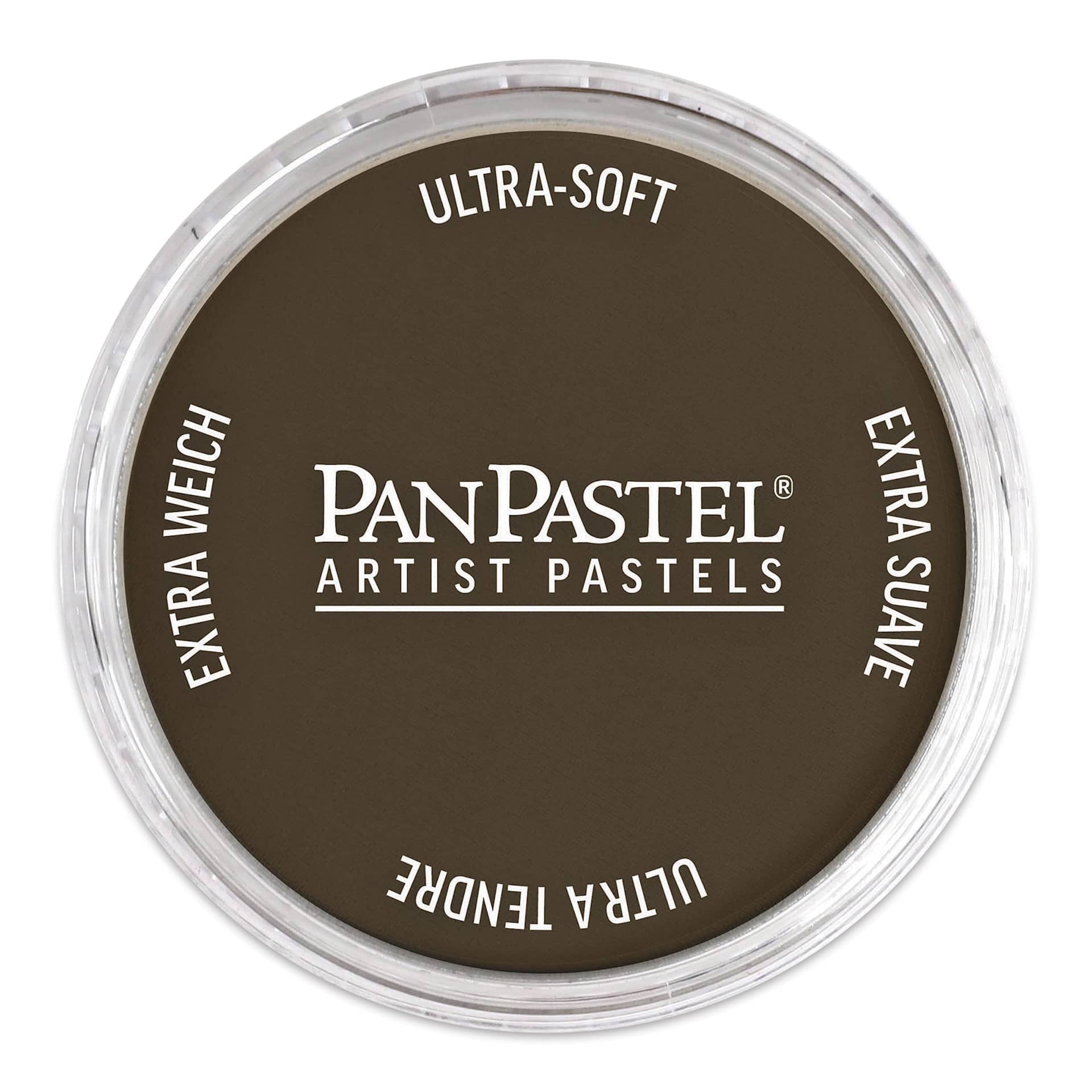 PanPastel Artists’ Painting Pastel - Raw Umber Shade, 780.3