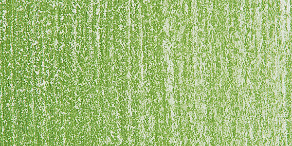Holbein Artists' Soft Pastel - Moss Green swatch