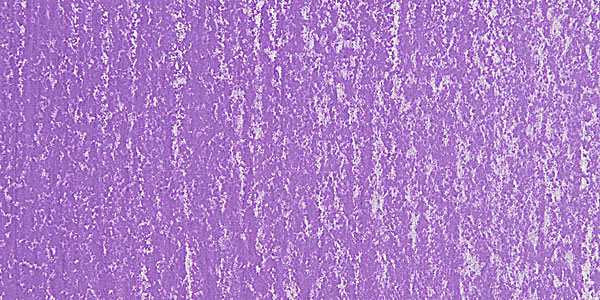 Holbein Artists' Soft Pastel - Violet 2 swatch