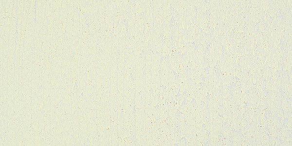 Mount Vision Soft Pastel - Warm White 1 swatch